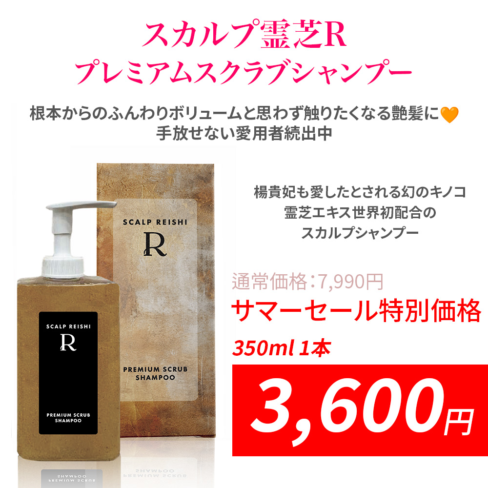 麻布ストア サマーセール