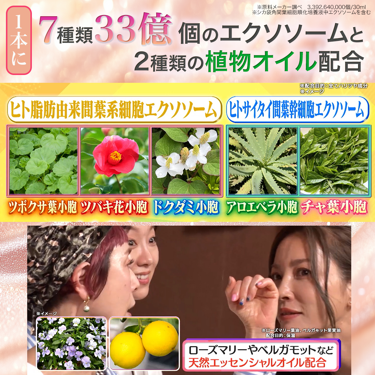 マチャミビューティーショッピング テレ東