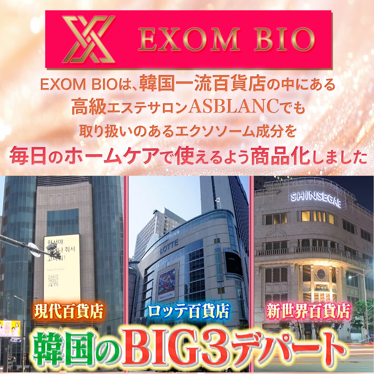 マチャミビューティーショッピング テレ東